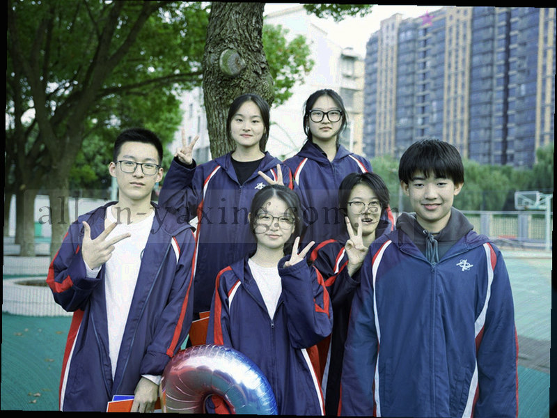 积分榜排名箭头变化图表